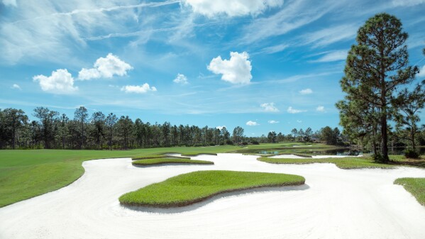 Concession hole 2