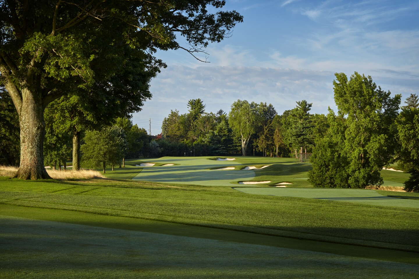 Aronimink Golf Club 12th Hole