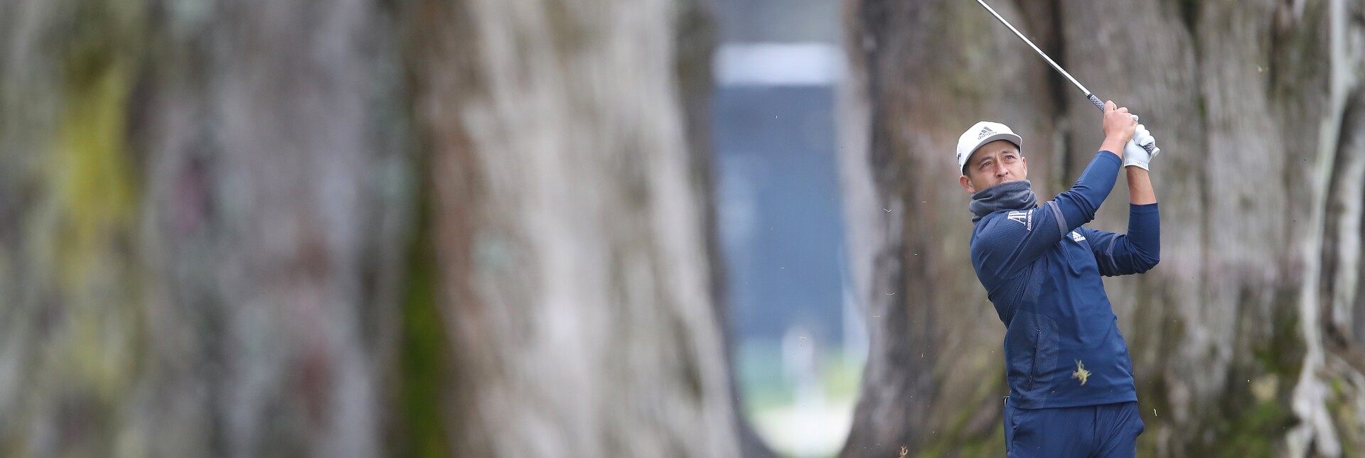 2020 Pga Championship Predictions Favorites To Win Pga Championship Pga Championship 2022 Favorites